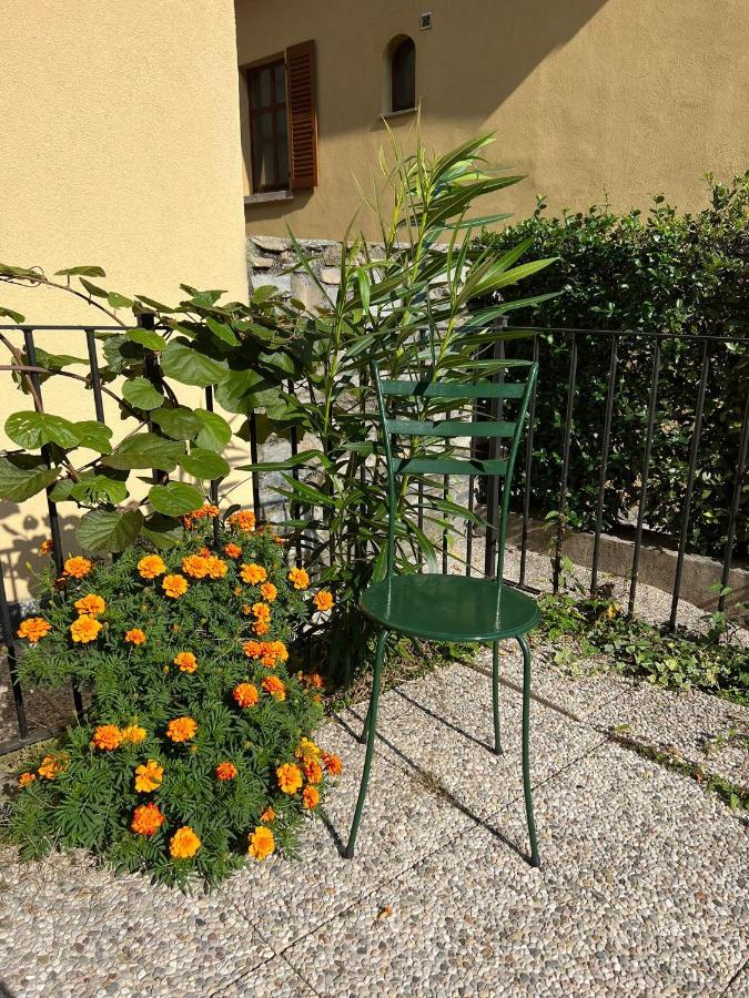 Lakeview Lakecomo, Cipresso 7, 4Seasons, Terrace, 30M To Lake! By Stayhere-Lakecomo Acquaseria Eksteriør bilde